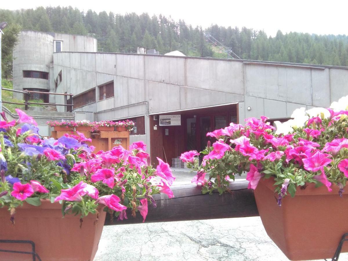 Soldanella Cervinia Apartment Vda Vacanze In Vetta Cir 0253 Breuil-Cervinia Dış mekan fotoğraf