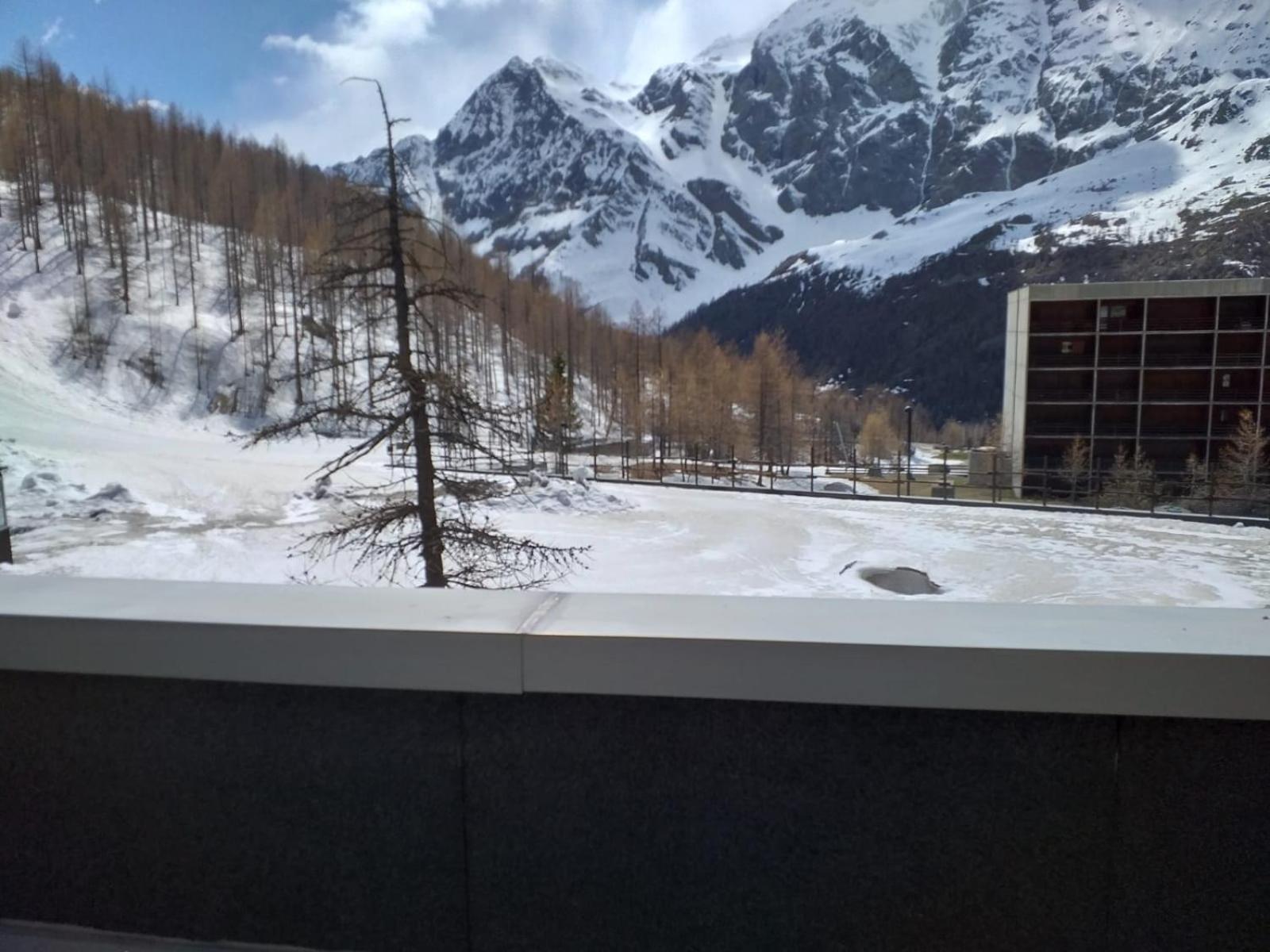 Soldanella Cervinia Apartment Vda Vacanze In Vetta Cir 0253 Breuil-Cervinia Dış mekan fotoğraf