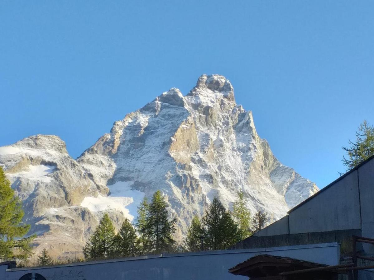 Soldanella Cervinia Apartment Vda Vacanze In Vetta Cir 0253 Breuil-Cervinia Dış mekan fotoğraf